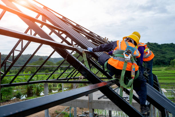 Best New Roof Installation  in Caro, MI