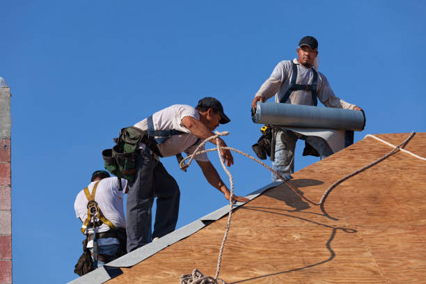 Best Emergency Roof Repair  in Caro, MI