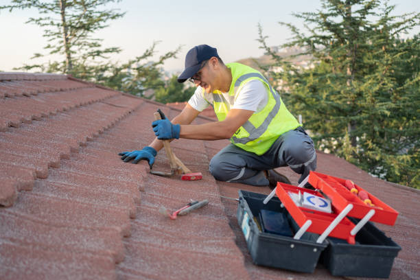 Best Affordable Roofing Company  in Caro, MI