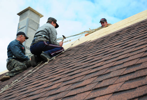 Best Sealant for Roof  in Caro, MI