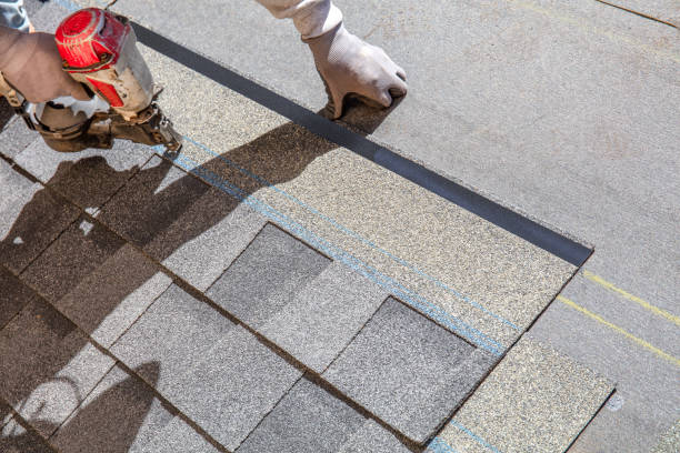 Best Roof Leak Repair  in Caro, MI